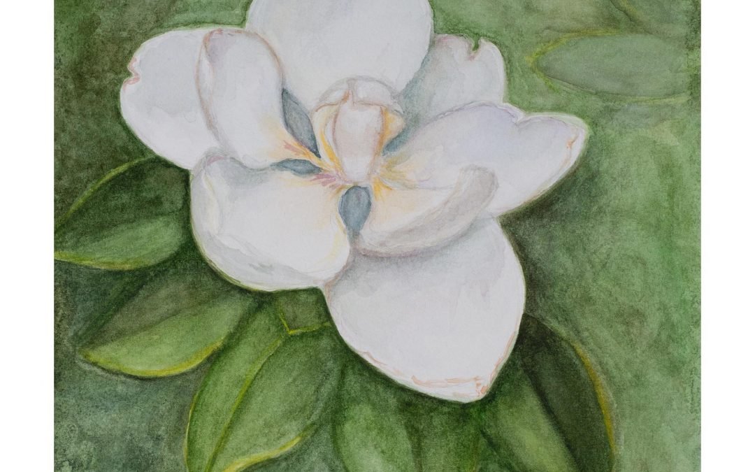 Magnolia Watercolor: Inspired by Nature