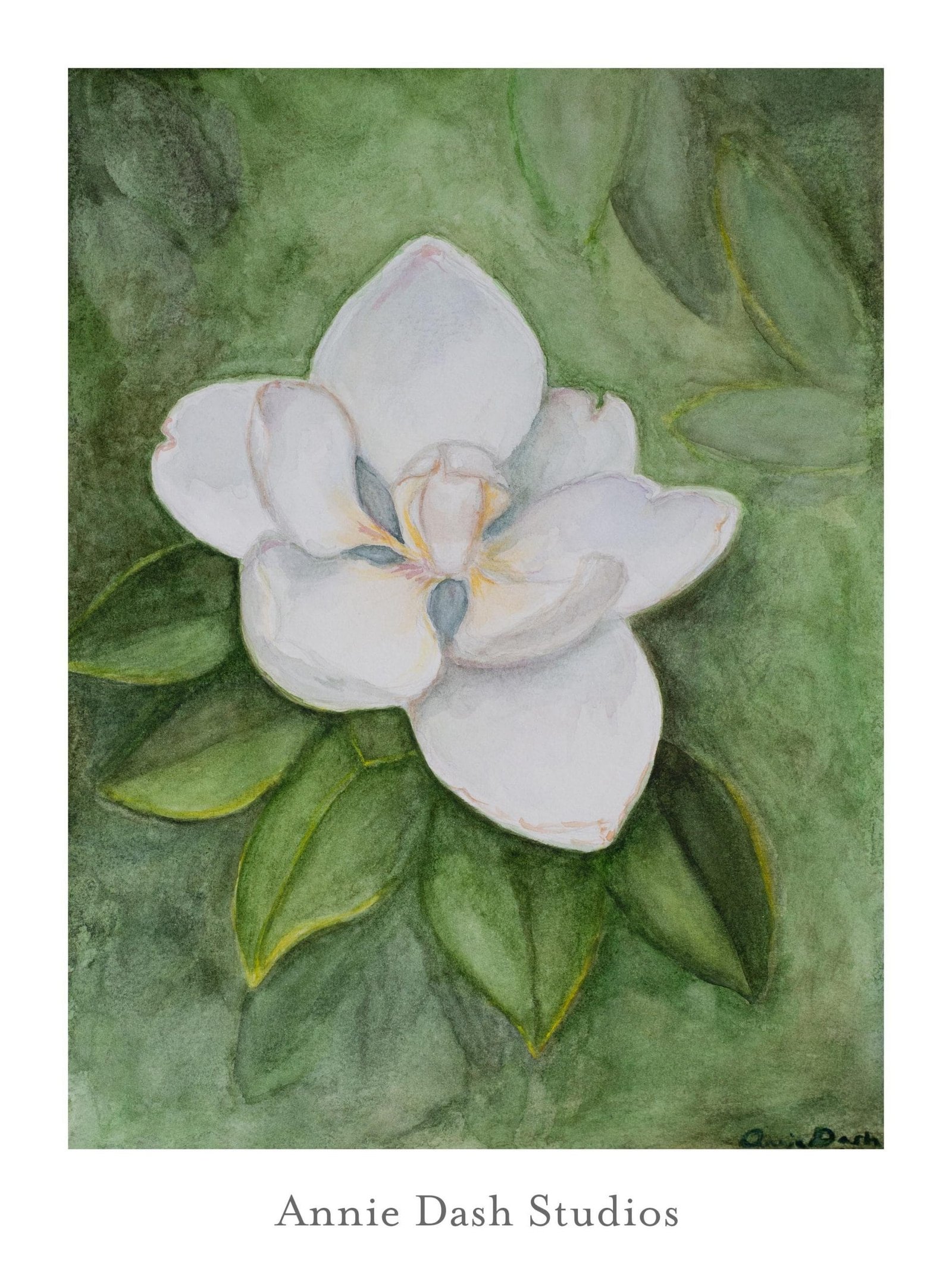 Watercolor painting of Dr. Huey red rose by Annie Dash Studios