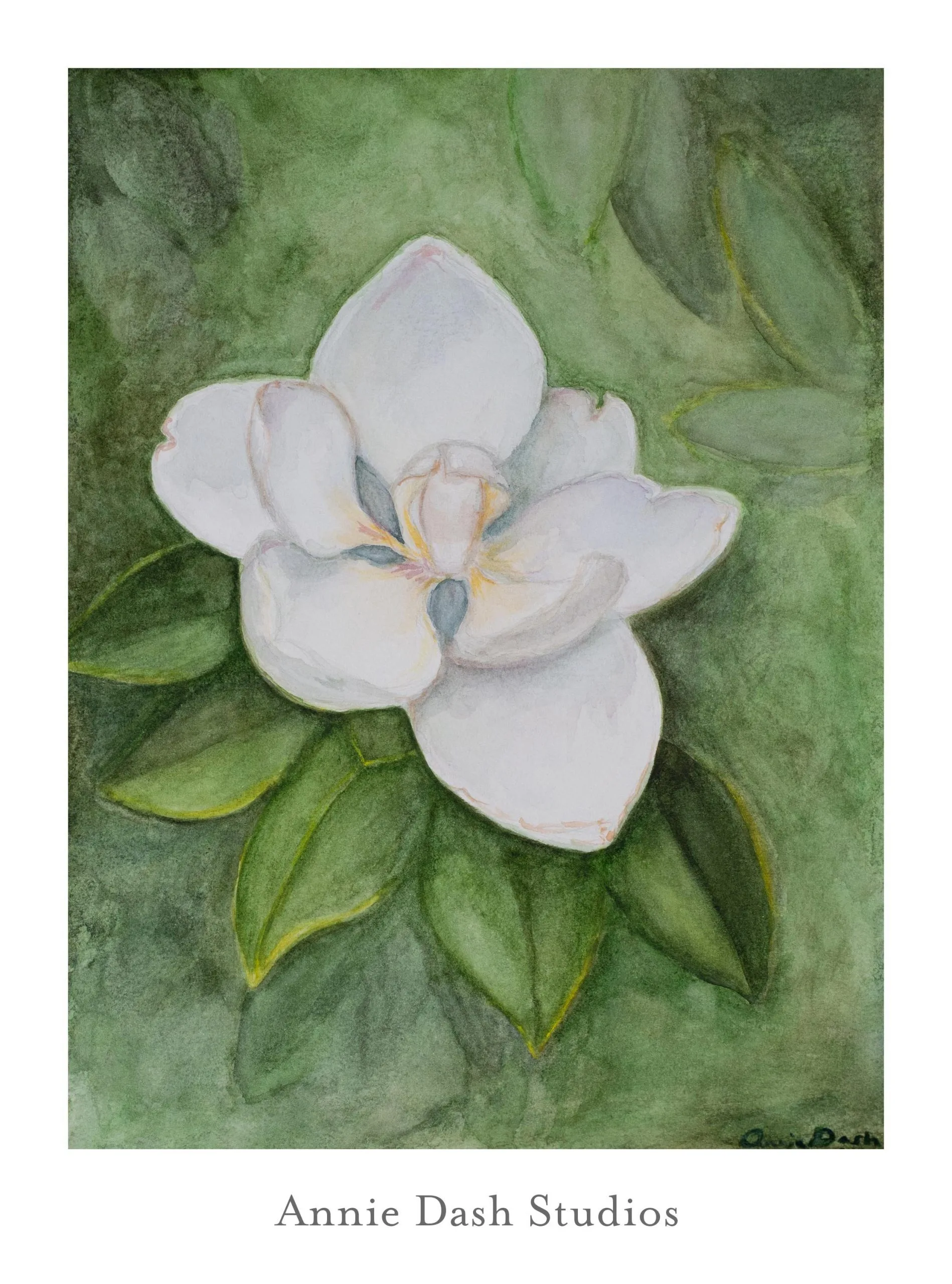 Watercolor painting of Dr. Huey red rose by Annie Dash Studios