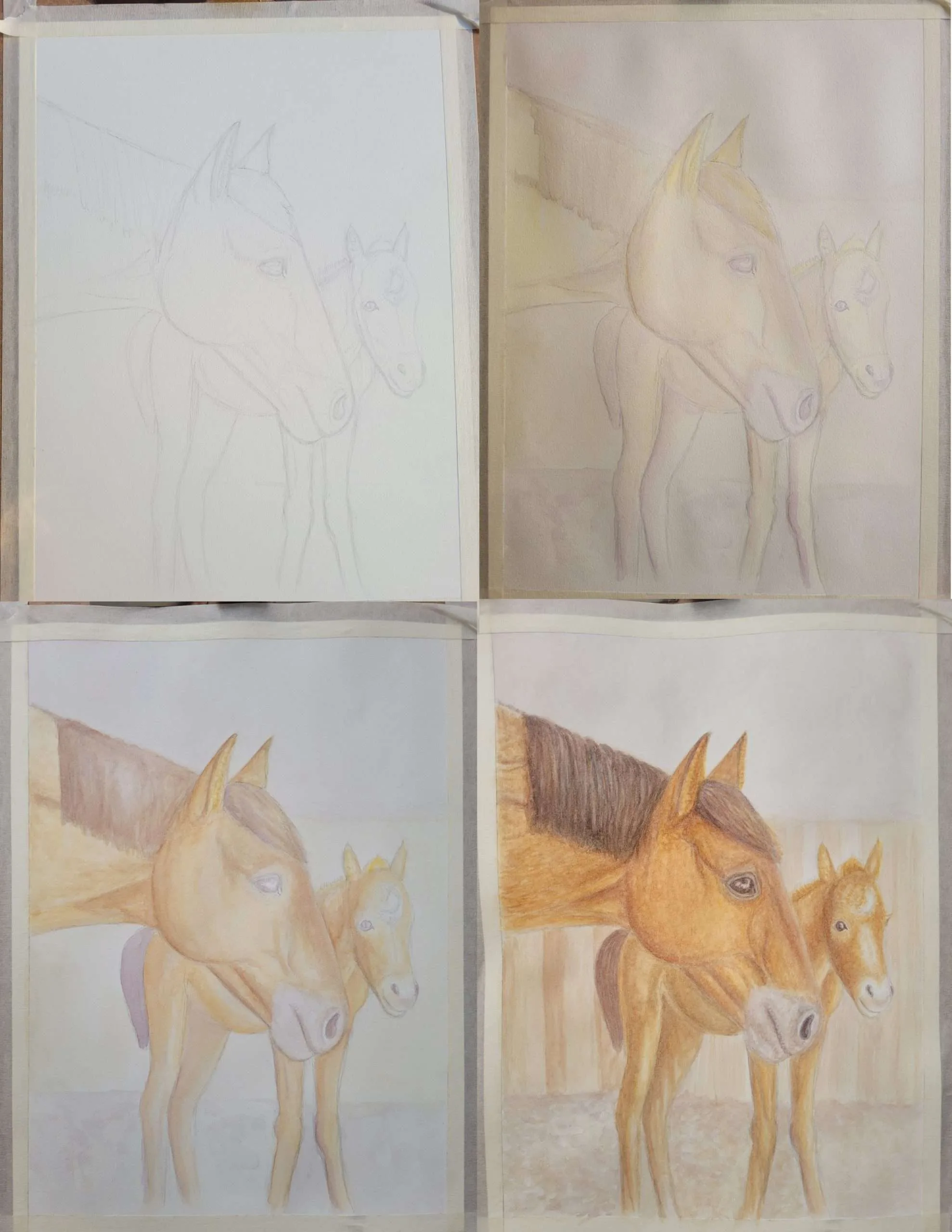 Work in progress photos of mare and foal watercolor painting