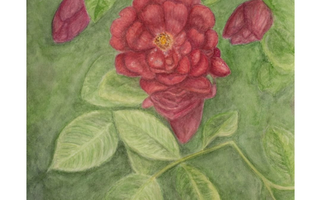 Rose: A Watercolor Floral Portrait