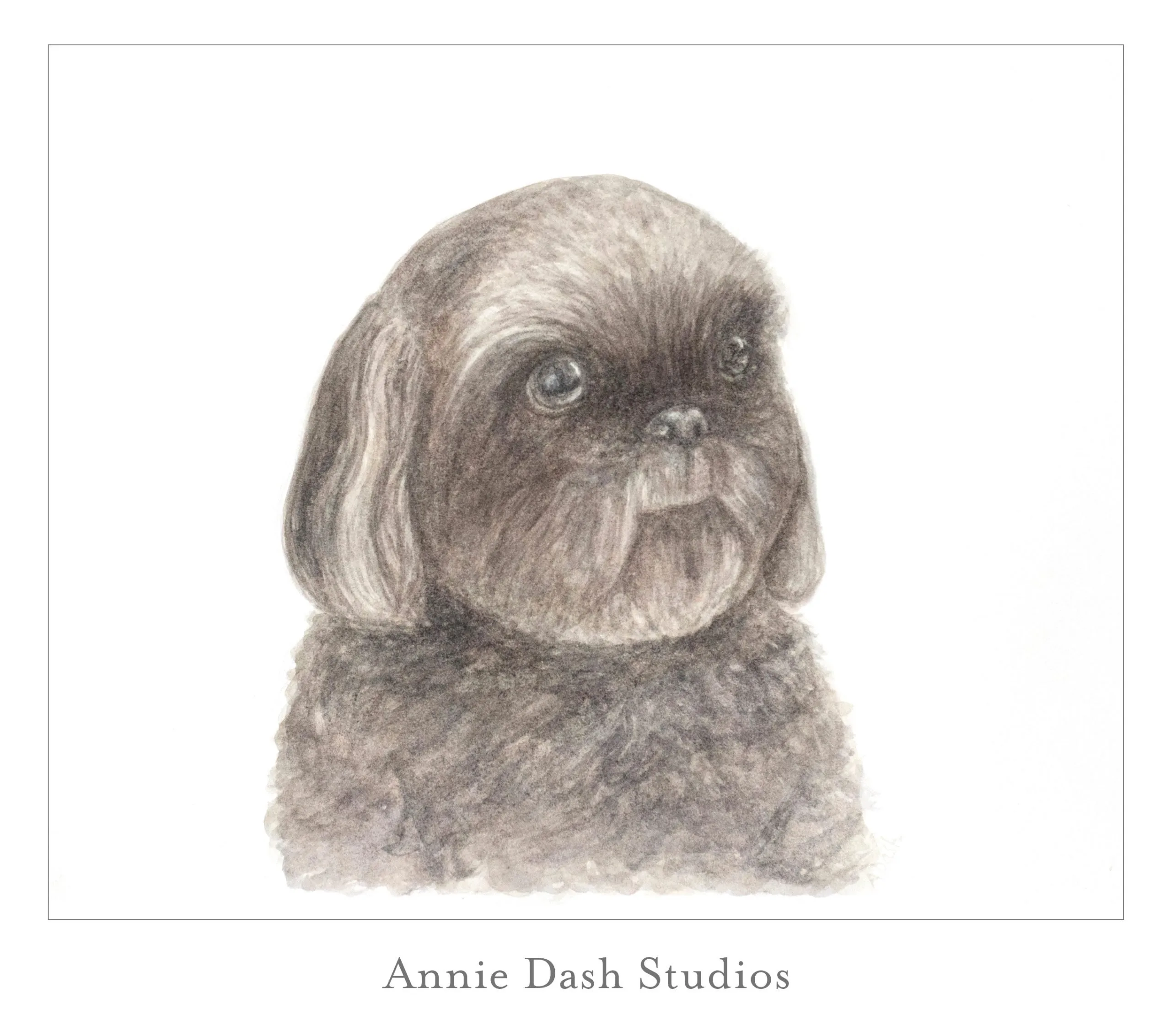 watercolor grey dog portrait