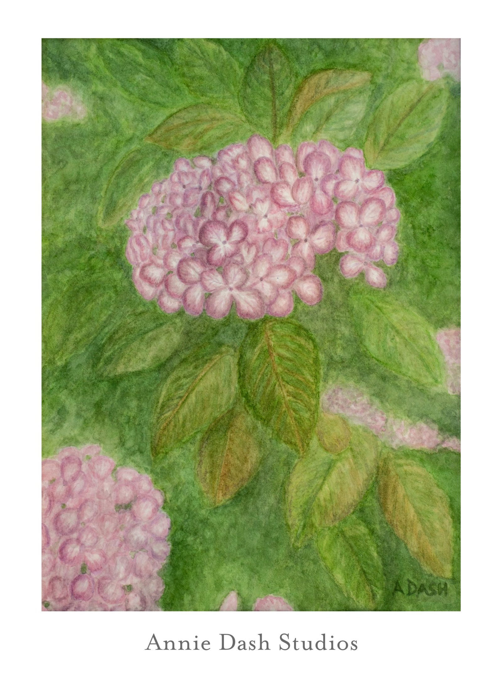 hydrangea watercolor floral painting by Annie Dash Studios