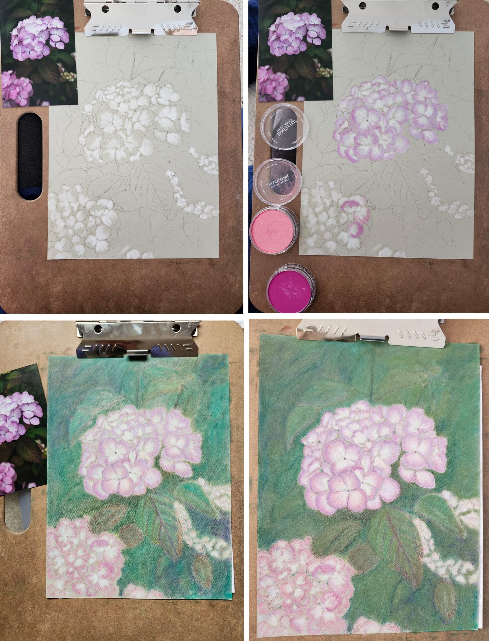 Hydrangea Pastel Work in Progress 4 image collage of pastel floral paintings purple iris
