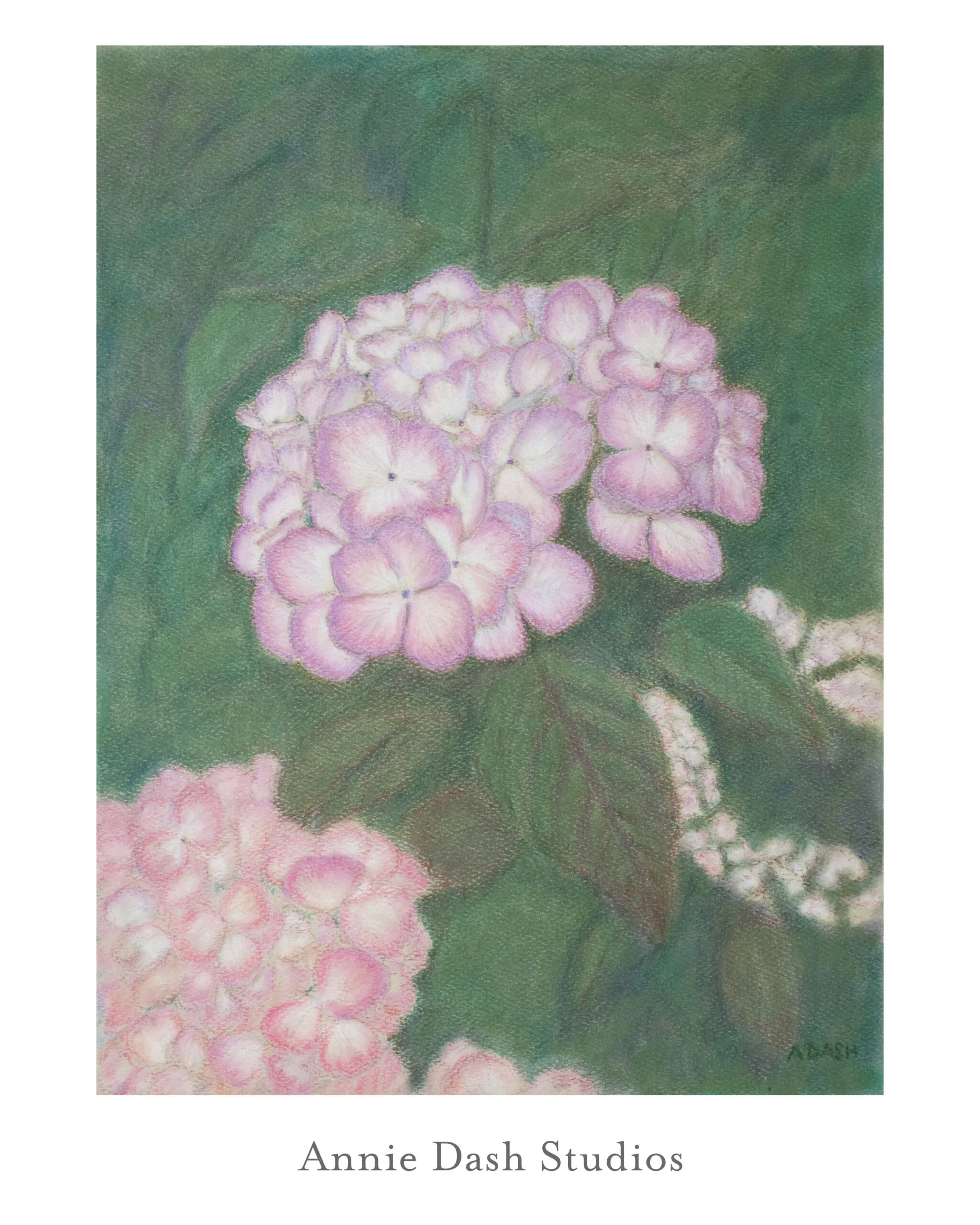 Hydrangea pastel floral painting