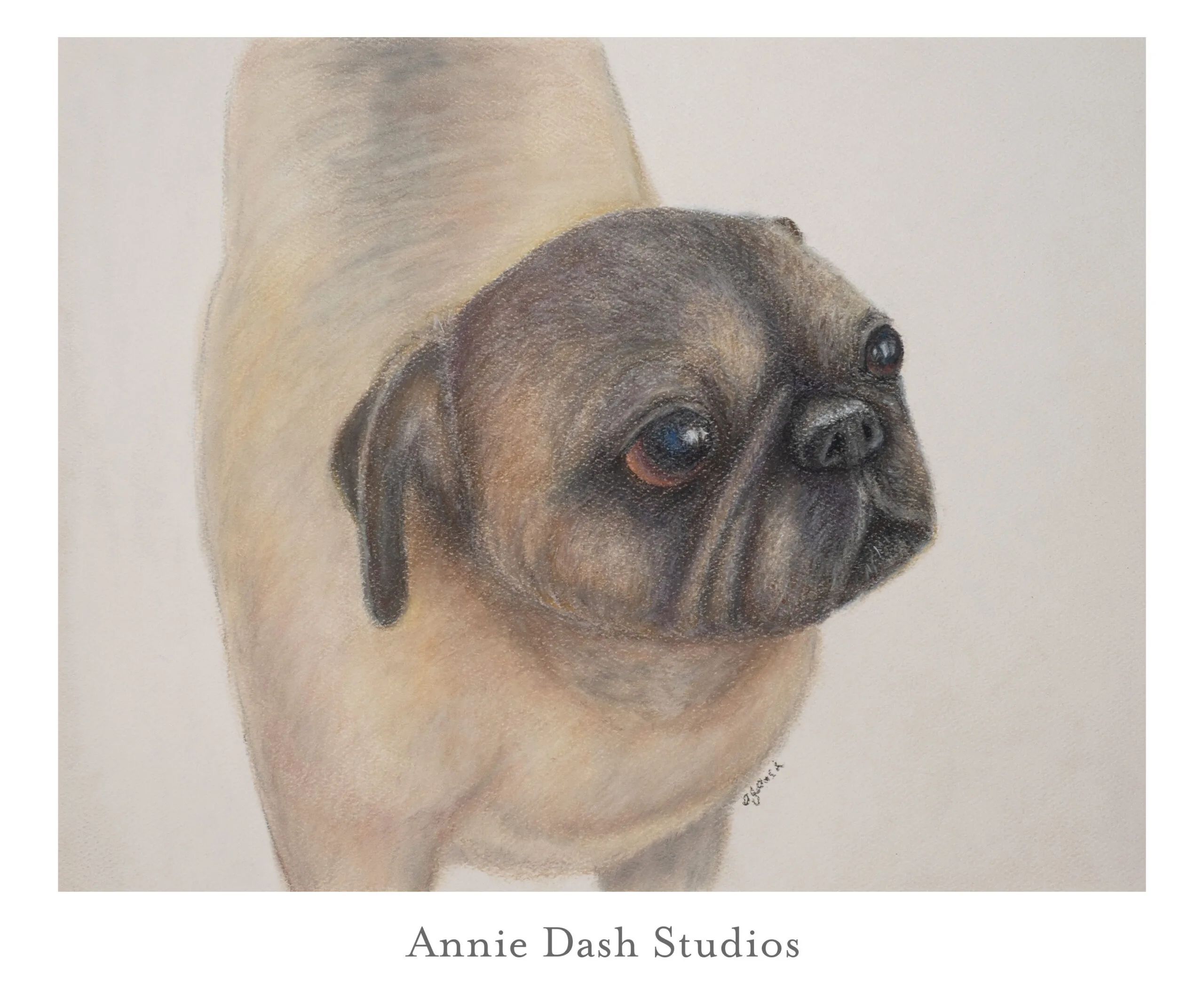 Pastel pug portrait by Annie Dash Studios