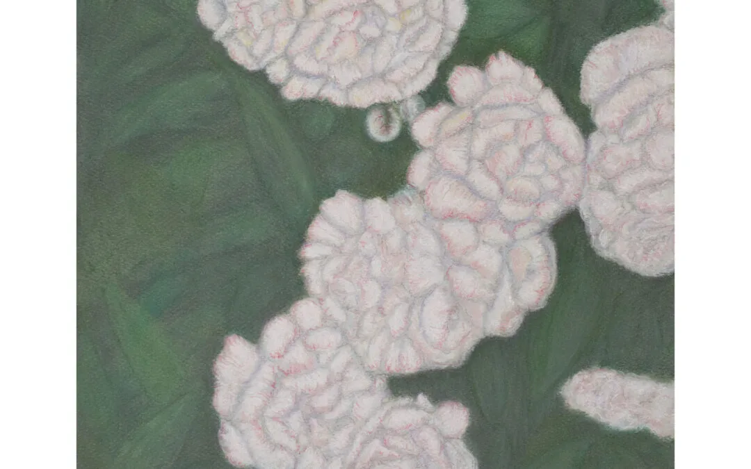 Peonies: A Pastel Floral Portrait