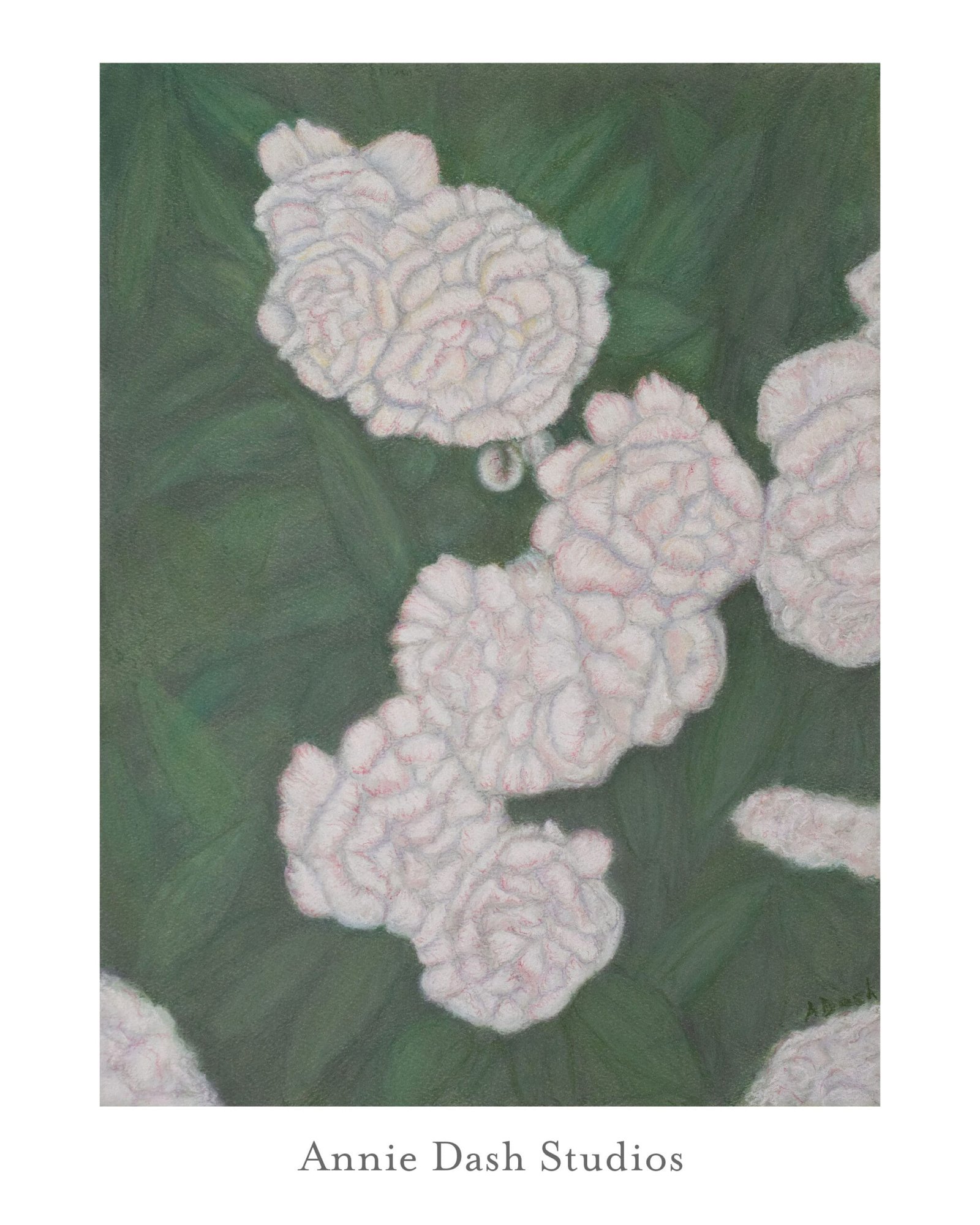 Peonies Pastel Floral Portrait by Annie Dash Studios