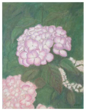 hydrangea floral portrait fine art giclee print