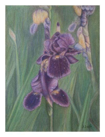 New Albany Indiana pastel floral portrait artist