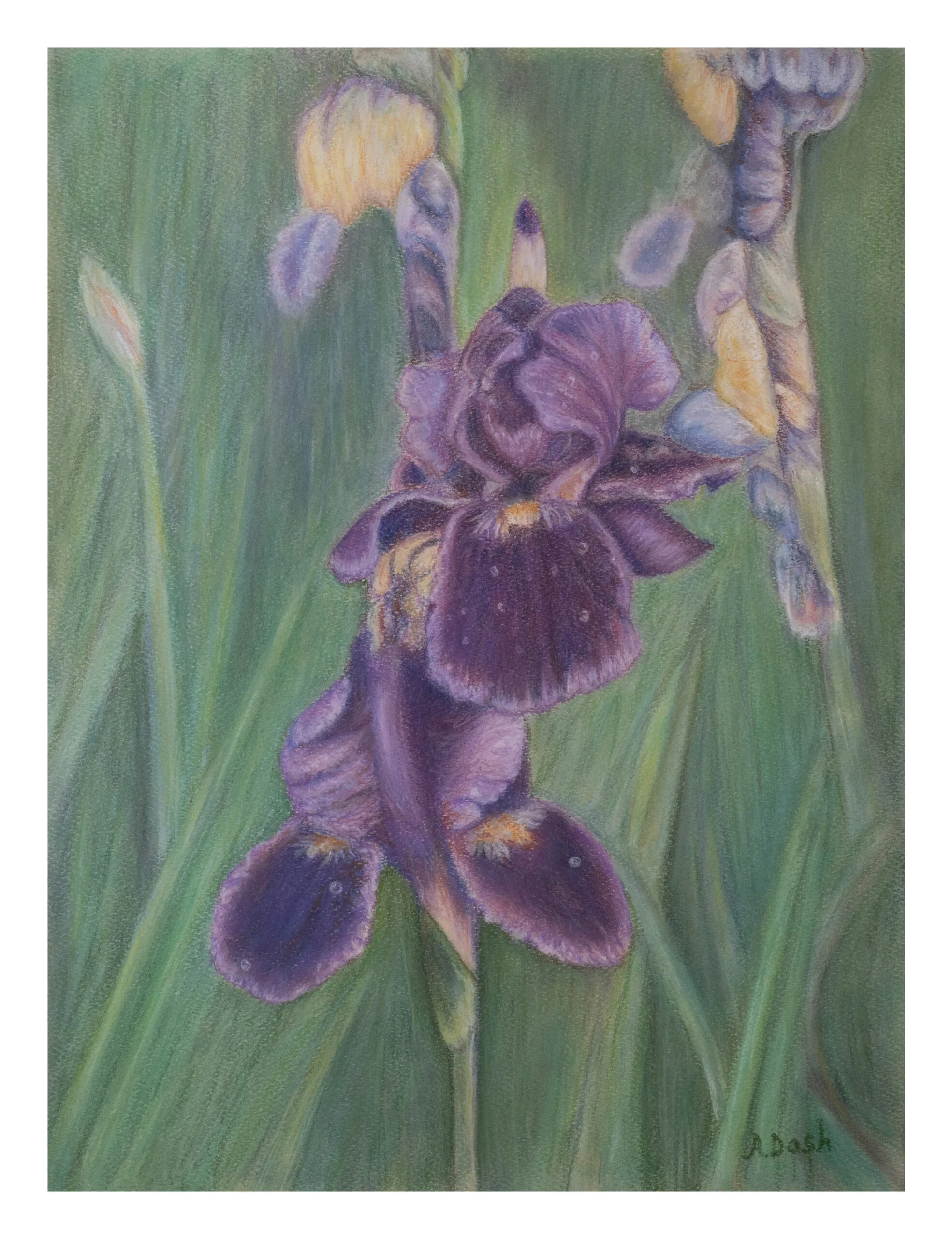 New Albany Indiana pastel floral portrait artist