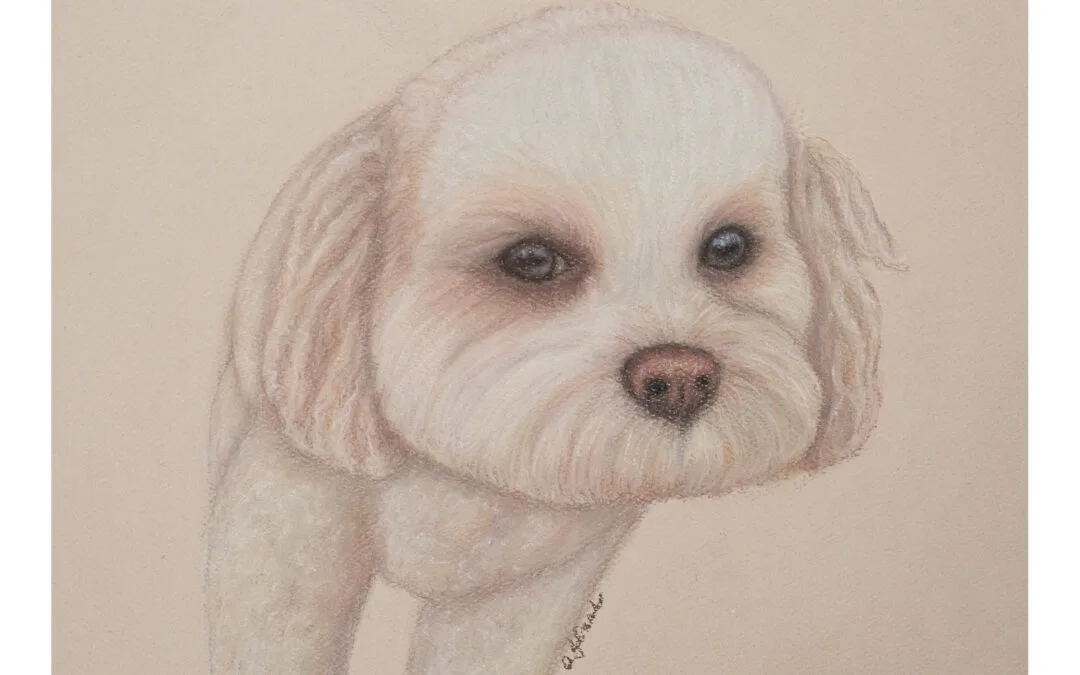 Carl the Dog: A Pastel Pet Portrait
