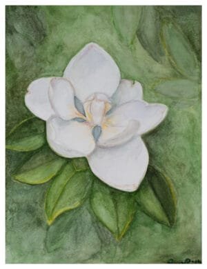 Magnolia watercolor floral portrait