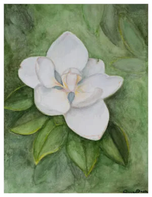 Magnolia watercolor floral portrait