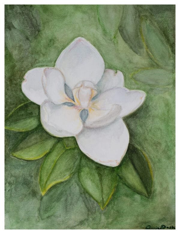 Magnolia watercolor floral portrait
