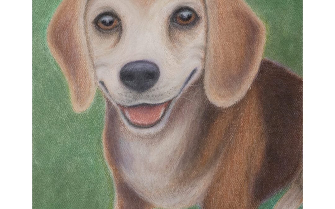 Happy Beagle: A Pastel Pet Portrait