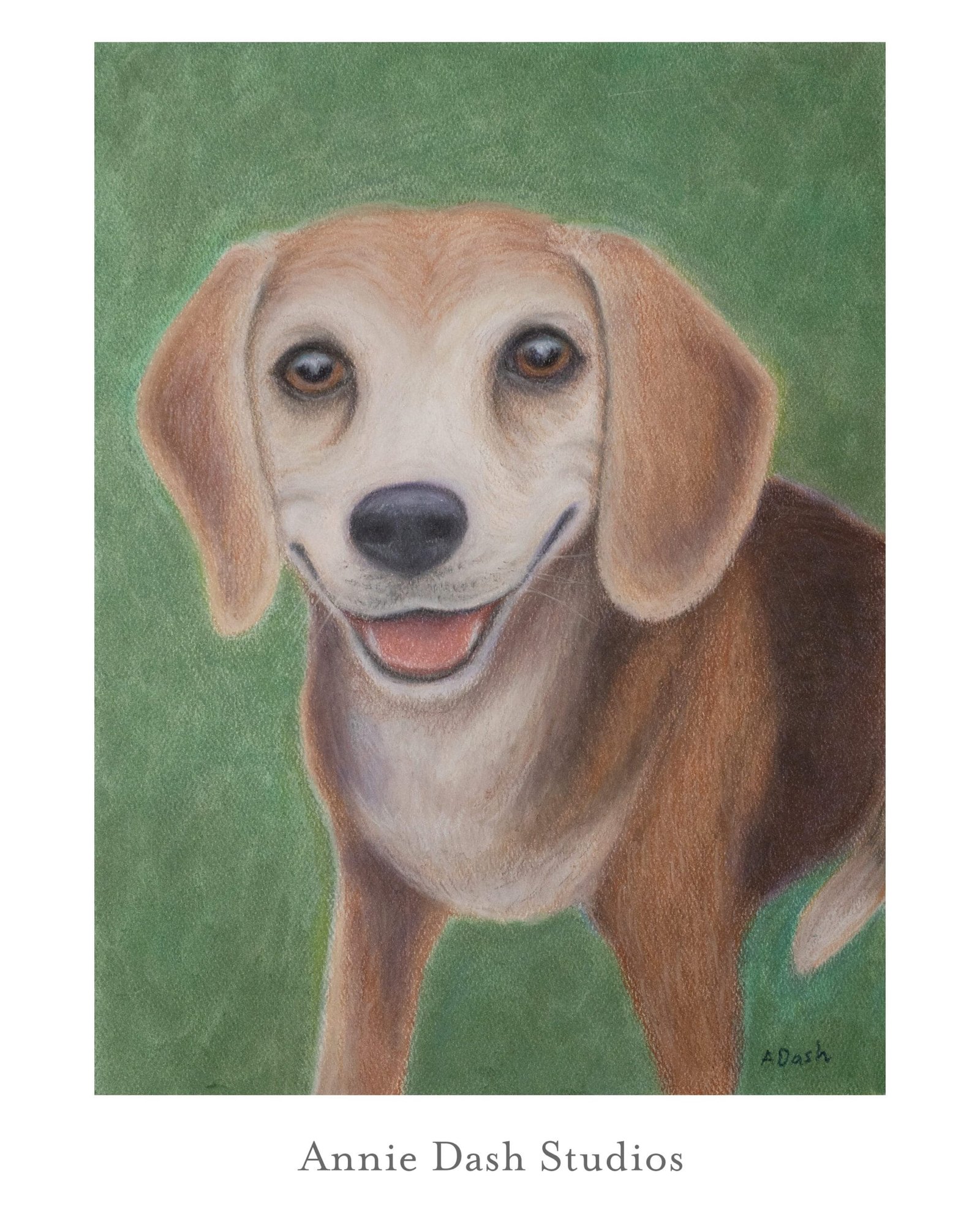 color pastel portrait of beagle looking at he camera and smiling