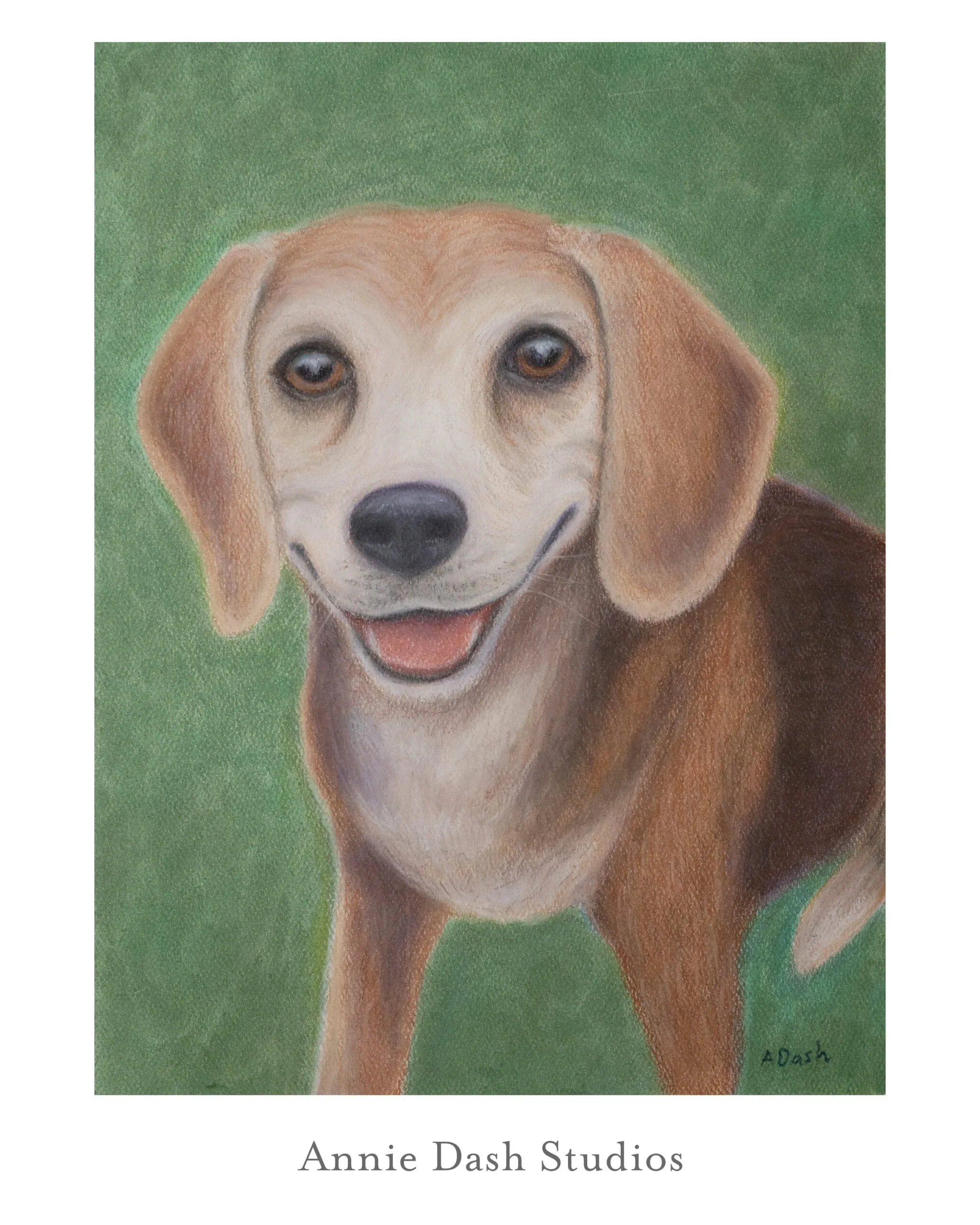 color pastel portrait of beagle looking at he camera and smiling