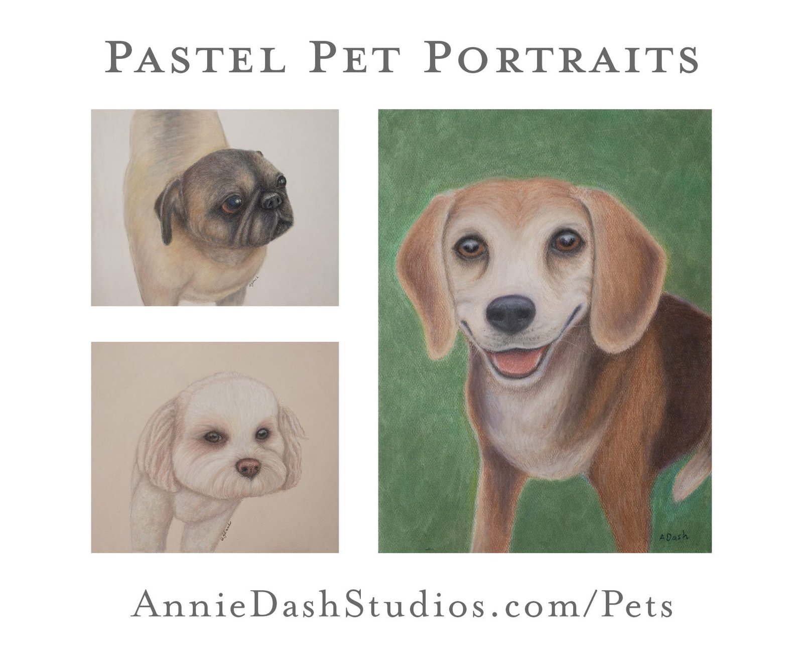 color three image collage of pastel pet portraits by Annie Dash Studios