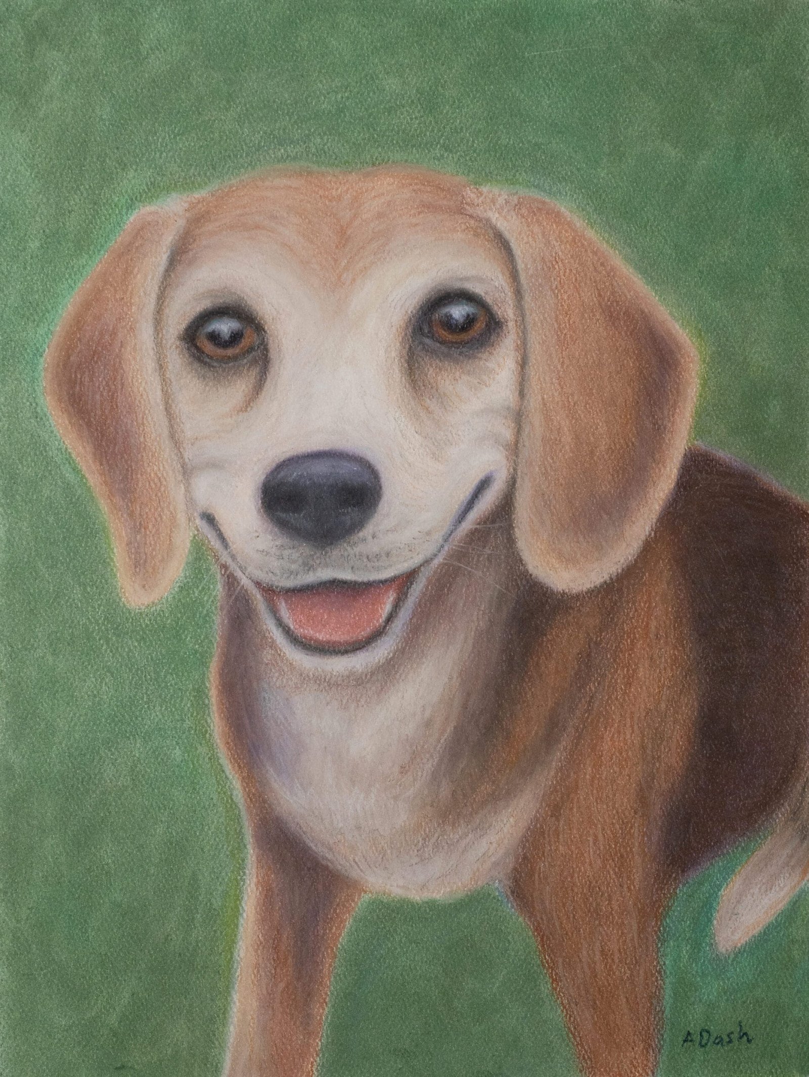happy beagle smiling pastel pet portrait