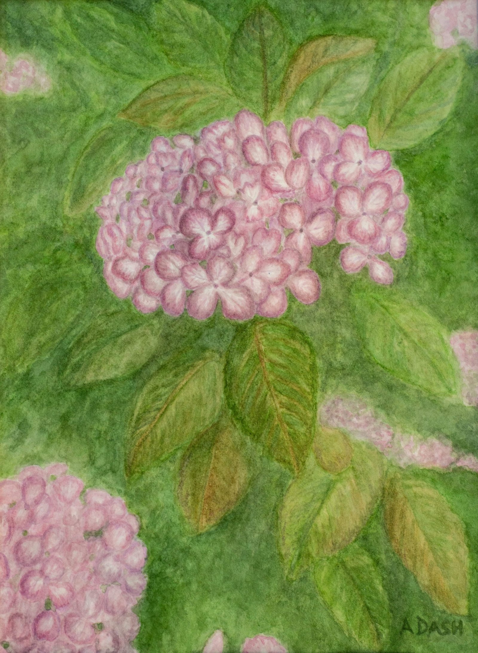 Hydrangea watercolor original painting by Annie Dash Studios