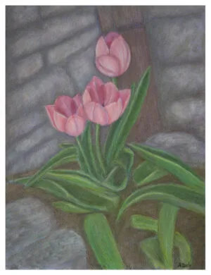 tulips pastel fine art giclee print by Annie Dash Studios