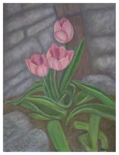 tulips pastel fine art giclee print by Annie Dash Studios