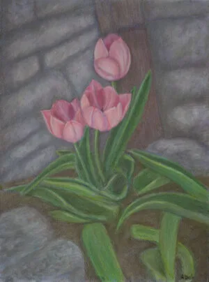 Tulips pastel floral art by Annie Dash Studios