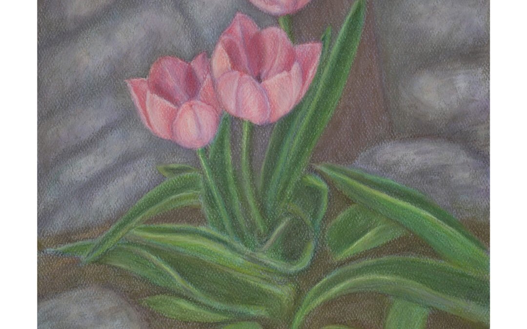 Tulips: A Floral Pastel Portrait