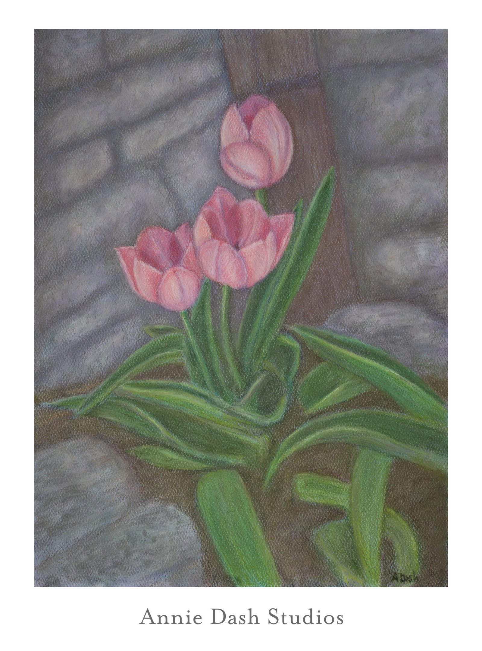 tulips pastel floral art by Annie Dash Studios