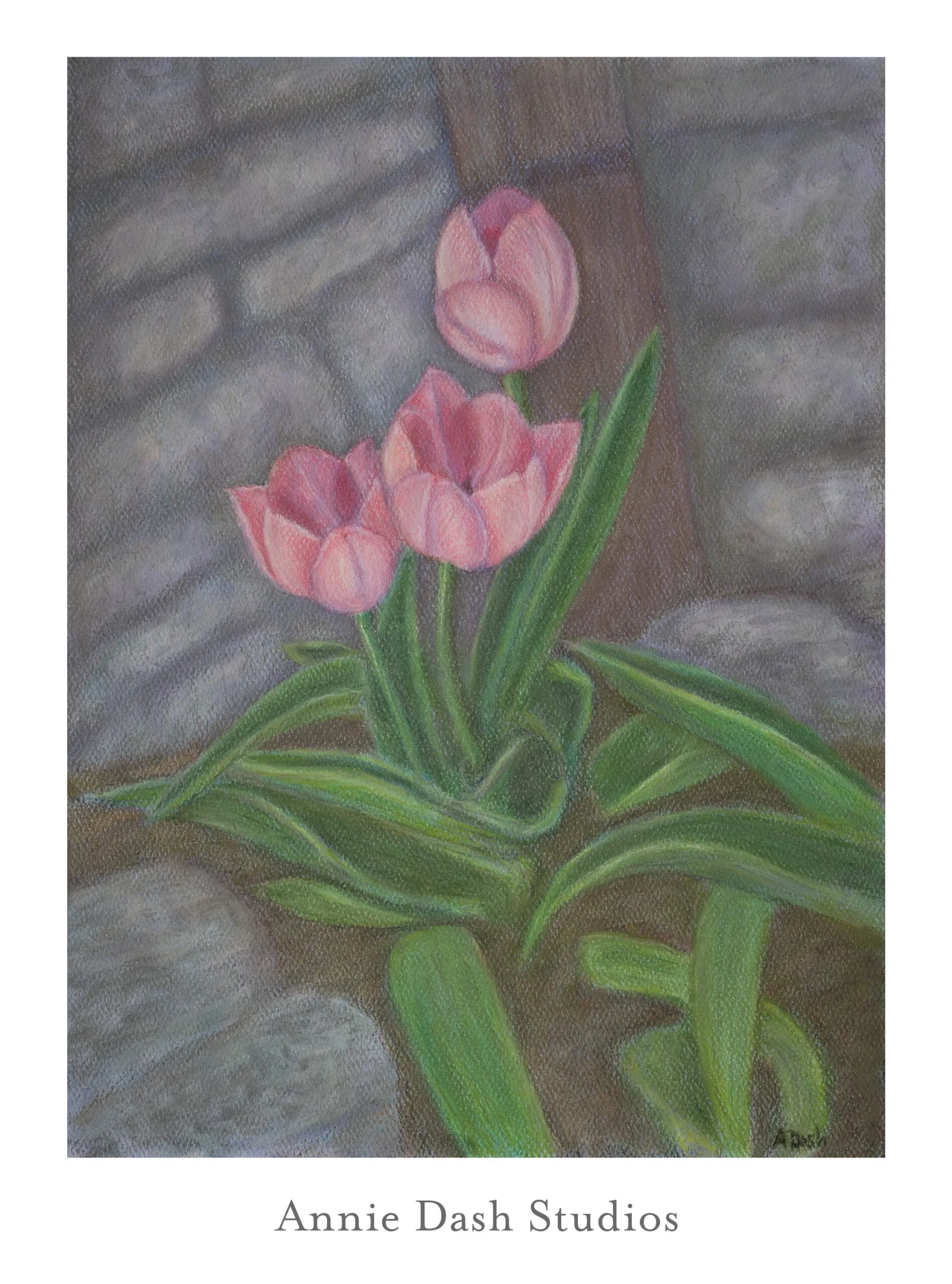 tulips pastel floral art by Annie Dash Studios