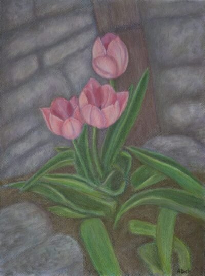 Tulips pastel floral art by Annie Dash Studios