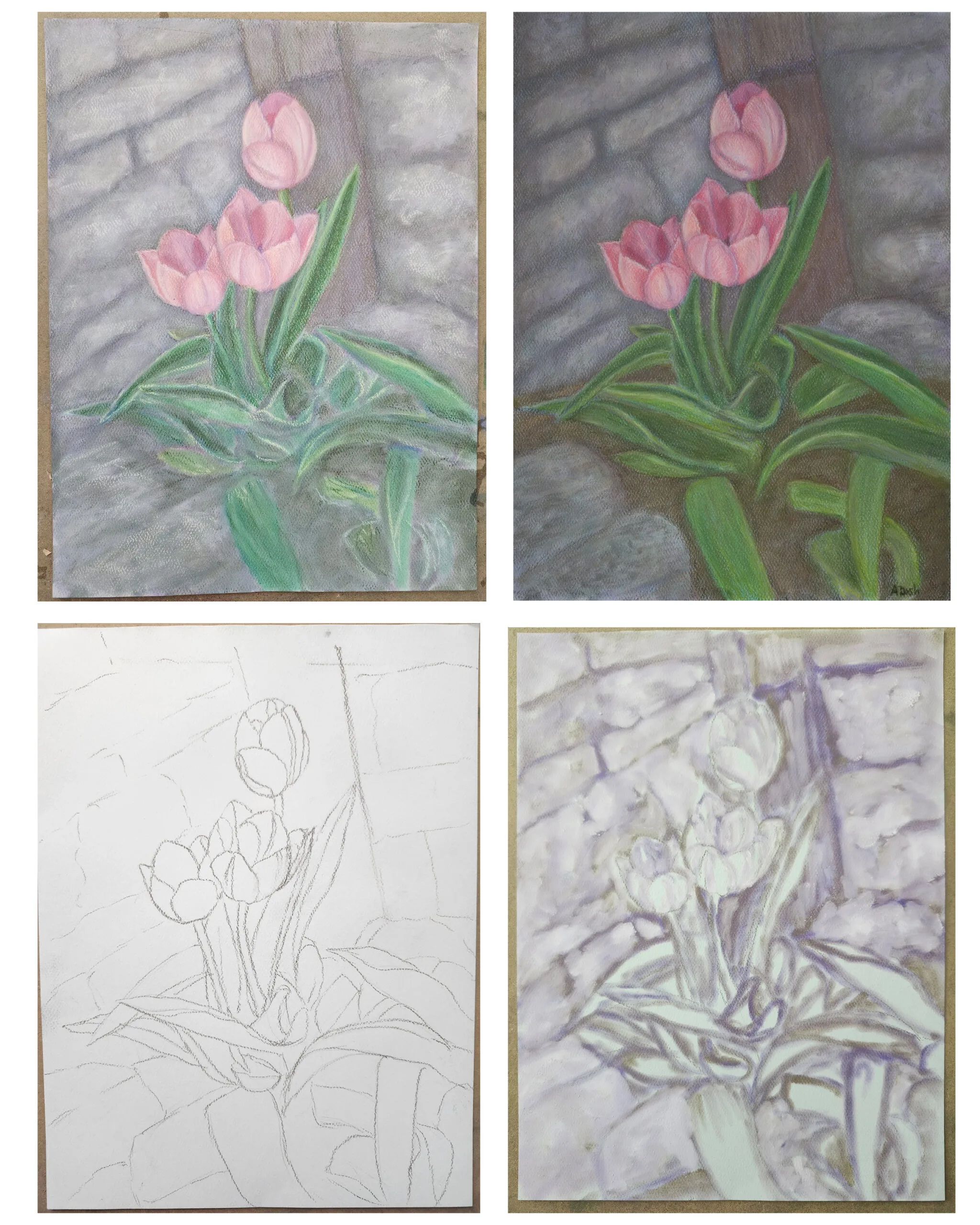 Tulips pastel work in progress by Annie Dash Studios
