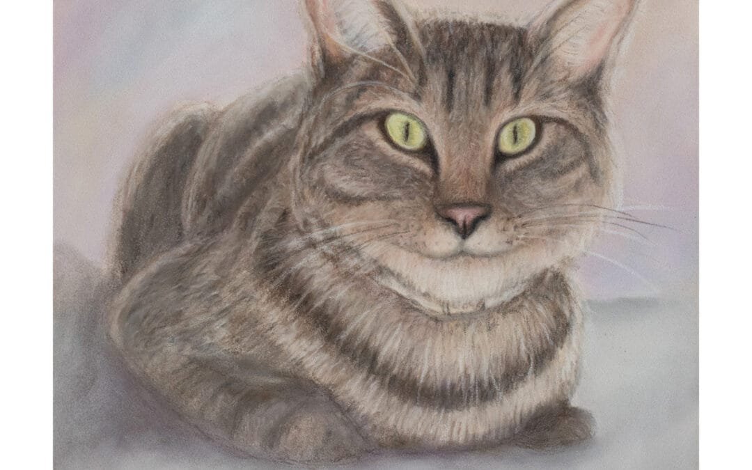 Fritz: A Cat Portrait in Pastel