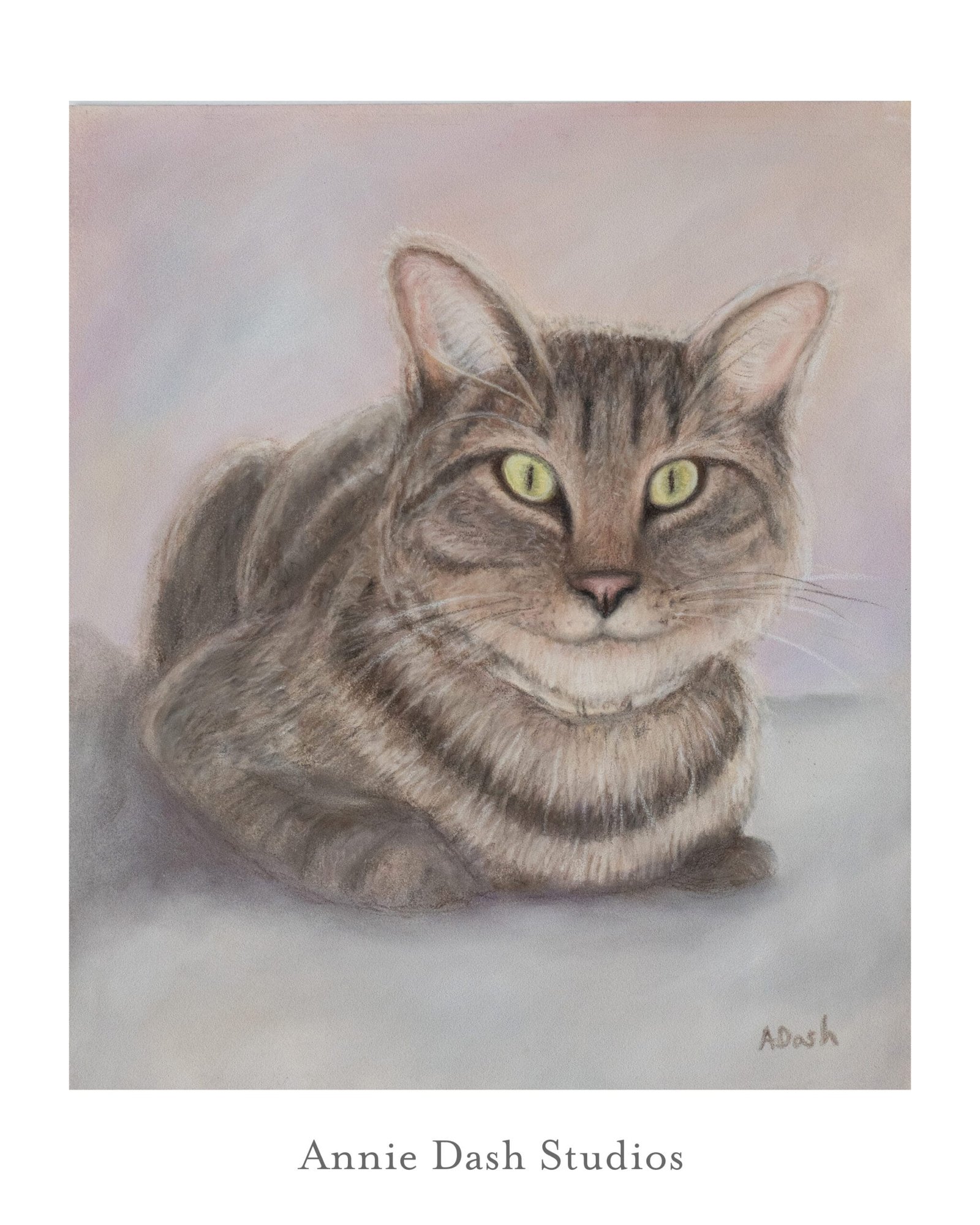 Cat pastel portrait of cat looking at viewer