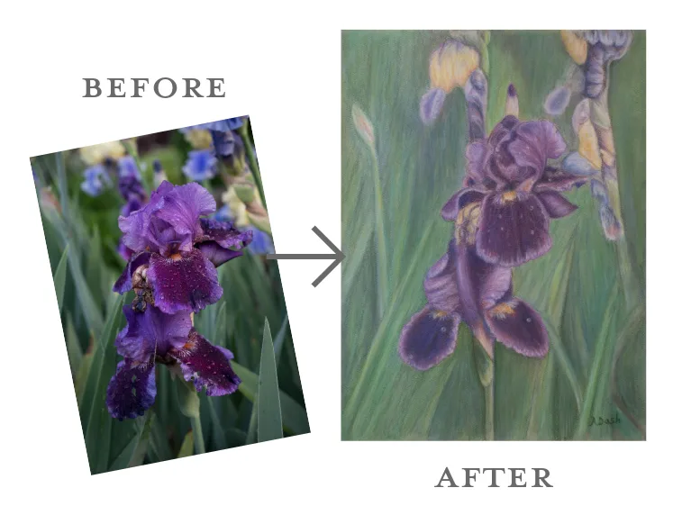 Before & After Iris photo and pastel portrait