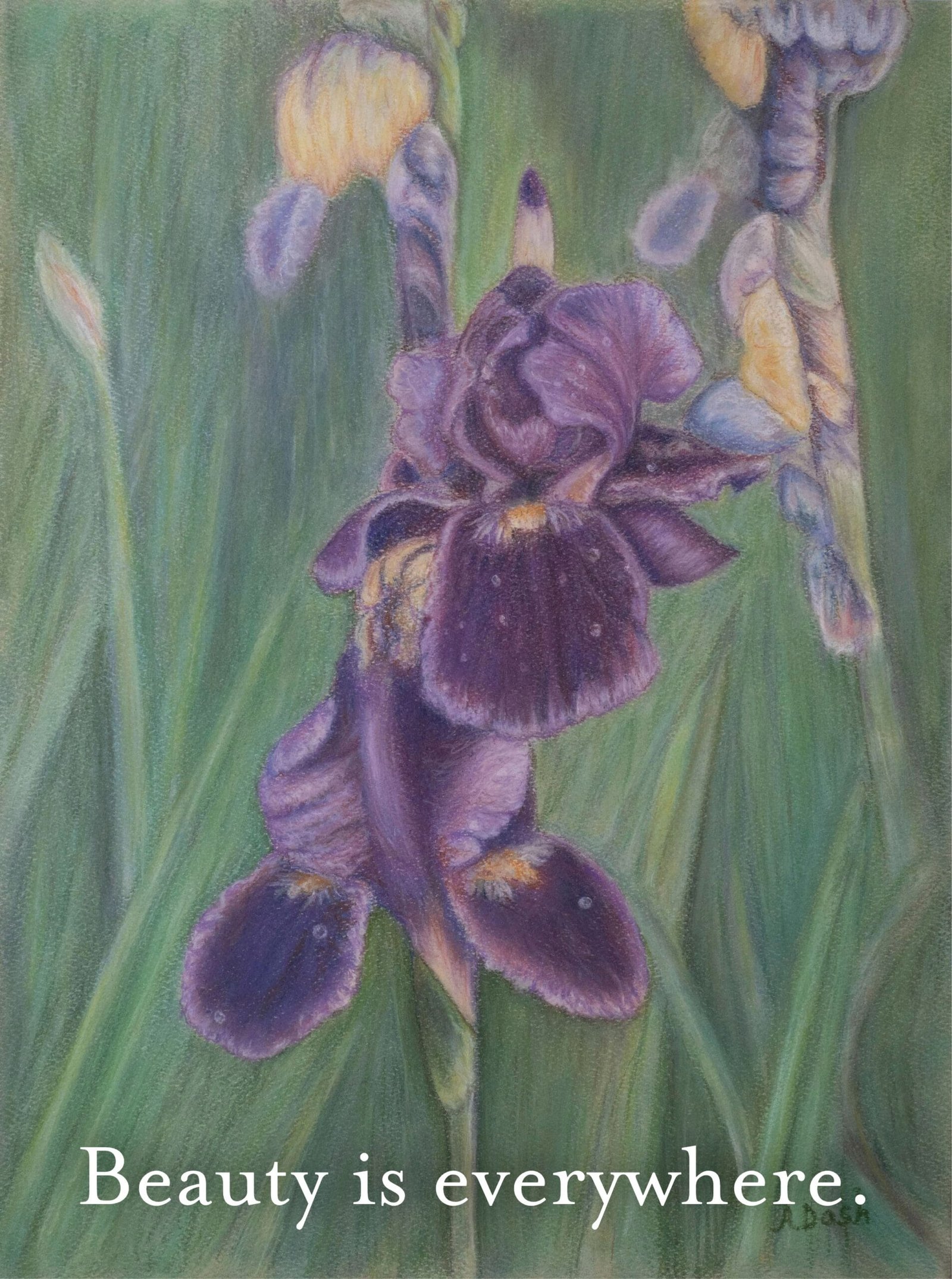 Slide 8 Pastel portrait of Iris by Annie Dash Studios
